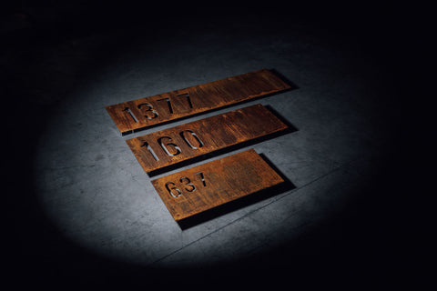 CORTEN STEEL HOUSE #